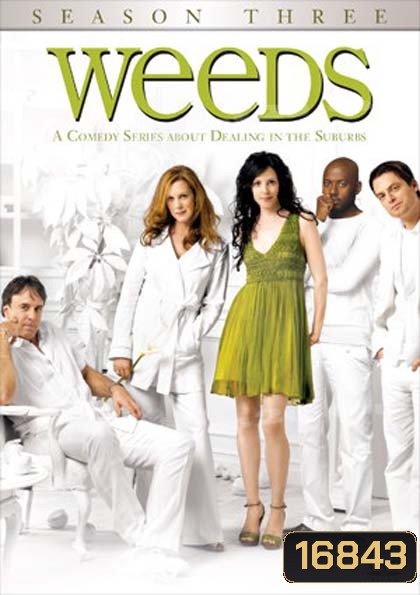 Weeds Season 3 : หม่ายชุลมุน ปี 3