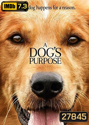 A Dog's Purpose หมา เป้าหมาย และเด็กชายของผม