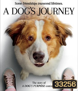 A Dog's Journey (2019) หมา เป้าหมาย และเด็กชายของผม 2