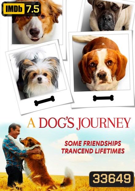 A Dog's Journey หมา เป้าหมาย และเด็กชายของผม 2