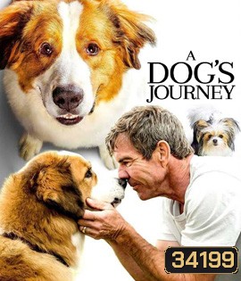 A Dog's Journey (2019) หมา เป้าหมาย และเด็กชายของผม 2