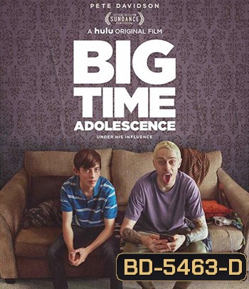 Big Time Adolescence (2019)