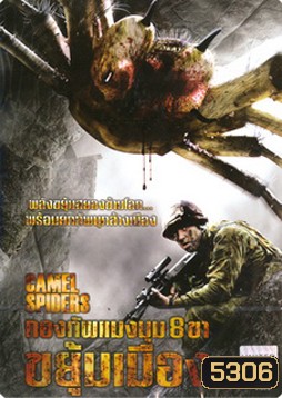 Camel Spiders กองทัพแมงมุม 8 ขาขยุ้มเมือง