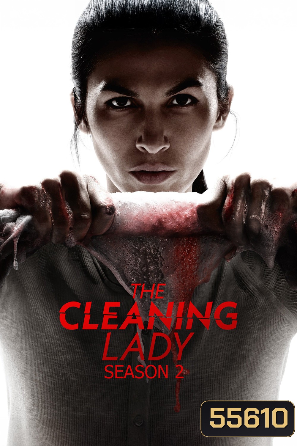 The Cleaning Lady Season 2 (2022) หญิงผู้ล้างรอยเลือด ซีซั่น 2 (12 ตอนจบ)