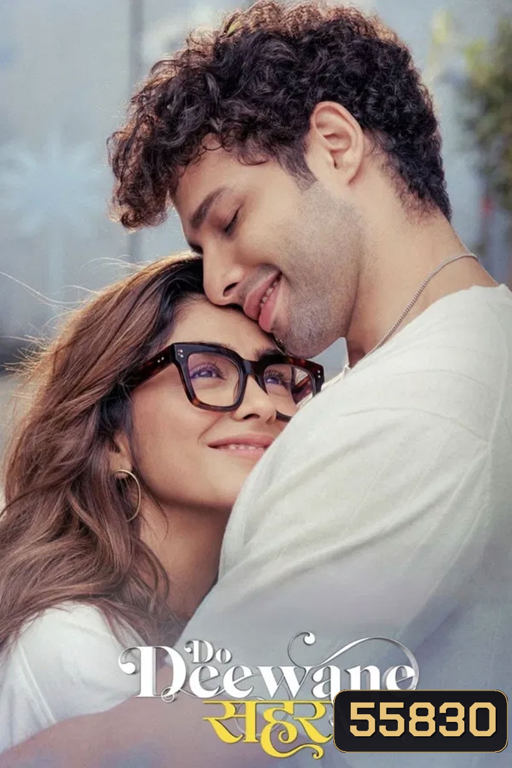 Do Deewane Seher Mein (2026) สองหัวใจในเมืองใหญ่