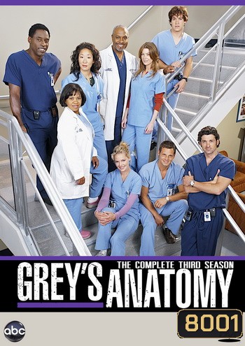 Grey's Anatomy Season 3 แพทย์มือใหม่หัวใจเกินร้อย ปี 3